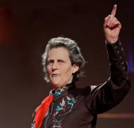 Temple Grandin Temple Grandin