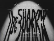 The Shadow
