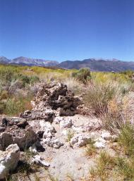 Скитникът от платата